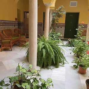 Centro Historico Solo Office Apartment
